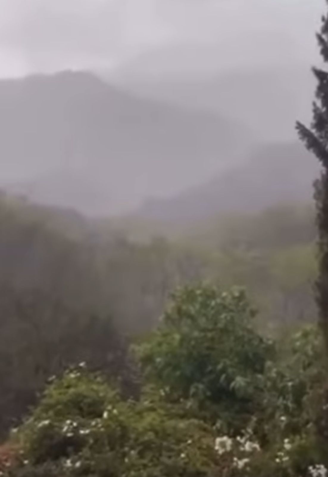 Reportan primeras lluvias del año en la sierra de Durango y el norte de ...